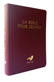 La Bible pour jeunes avec dc souple traduction parole de vie