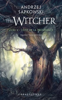 The Witcher (le sorceleur) Tome 2 : L'épée de la providence
