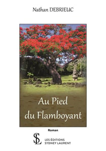 Au pied du flamboyant