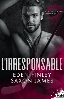 Les dieux du hockey Tome 2 : L'irresponsable