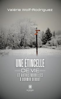Une étincelle de vie et autres nouvelles à dormir debout