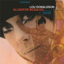 Alligator bogaloo