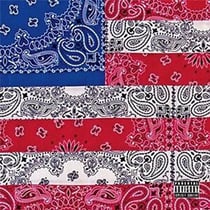 All-Amerikkkan Bada$$