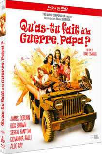 Qu'as-tu fait à la guerre, Papa ?