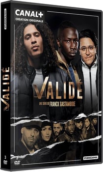 Validé - Saison 1