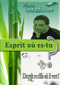 Esprit où es-tu ? : L'esprit souffle où il veut !