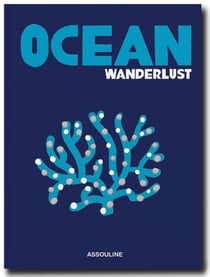 Ocean wanderlust