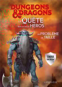 Dungeons & Dragons : La Quête dont on est le héros : Un problème de taille