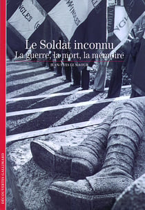 Le soldat inconnu (la guerre, la mort, la mémoire)