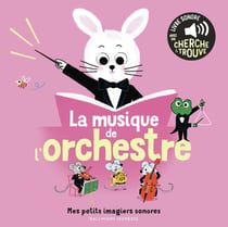 La musique de l'orchestre : Des sons à écouter, des images à regarder