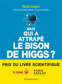 Mais qui a attrape le bison de higgs? - ... et autres questions que vous n'avez jamais ose poser a h