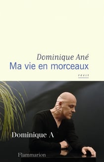 Ma vie en morceaux