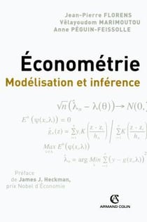 Économétrie - Modélisation et inférence : Modélisation et inférence