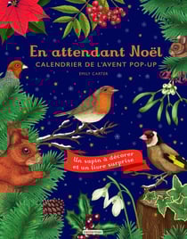 En attendant Noël : calendrier de l'avent pop-up