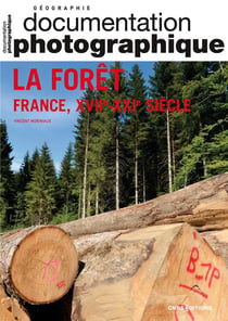 Documentation photographique n.8150 : la forêt : France, XVIIe-XXIe siècle