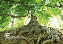 Arbracadabra : arbres et forets, expressions imaginaires & inspirations litteraires