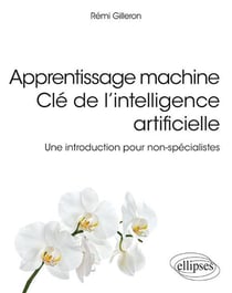 Apprentissage machine - Clé de l'intelligence artificielle - Une introduction pour non-spécialistes