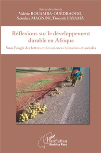 Réflexions sur le développement durable en Afrique - sous l'angle des lettres et des sciences humaines et sociales