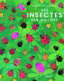 Des insectes par milliers