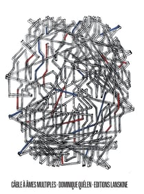 Câble à âmes multiples