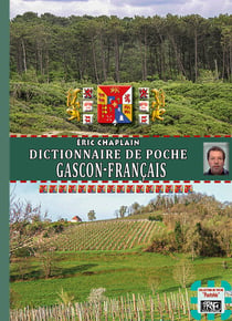 Dictionnaire de poche gascon-français : 25 000 mots