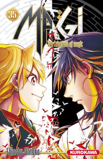 Magi, the labyrinth of magic Tome 35