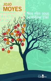 Nos vies sous le même ciel