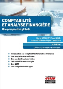 Comptabilité et analyse financière : Une perspective globale (5e édition)