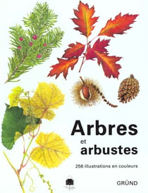 Arbres et arbustes