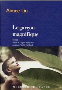 Le garçon magnifique