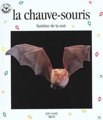 La chauve-souris - fantome de la nuit