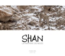 Shan - la panthère des neiges
