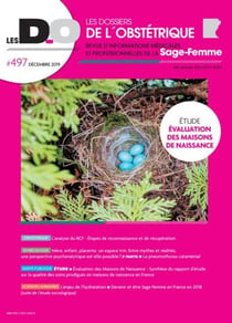 DOSSIER-ETUDE EVALUATION DES MAISONS DE NAISSANCE-DO 497-DECEMBRE 2019 : LES DOSSIERS DE L'OBSTETRIQUE 497 DECEMBRE 2019