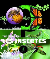 Tout comprendre : Les insectes