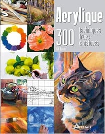 Acrylique : 300 Techniques, Trucs Et Astuces