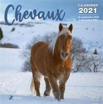 Calendrier chevaux 2021 (édition 2021)