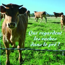 Que regardent les vaches dans le pré ?