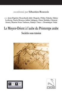 Le moyen-orient a l'aube du printemps arabe