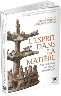 L'esprit dans la matière - une invitation au voyage chamanique