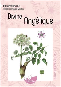 Divine angélique