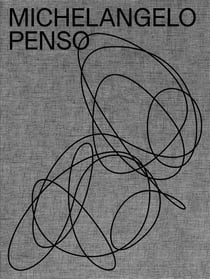 Michelangelo penso