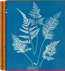 Anna Atkins : cyanotypes
