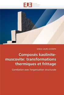 Composes kaolinite-muscovite: transformations thermiques et frittage