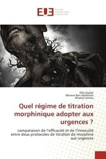 Quel régime de titration morphinique adopter aux urgences ? : comparaison de l'efficacité et de l'innocuité entre deux protocoles de titration de morphine aux urg