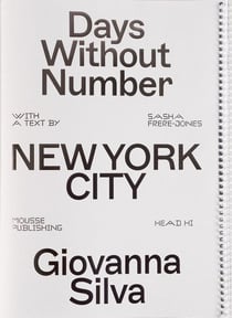 Days Without Number : New York City