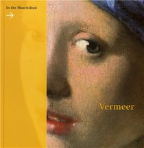 Vermeer in the mauritshuis