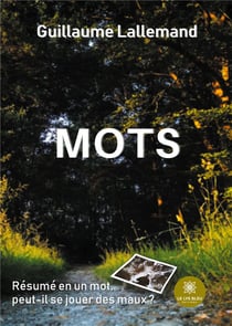 Mots