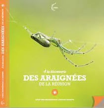 Araignées de La Réunion