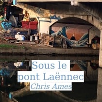 Sous le pont Laennec