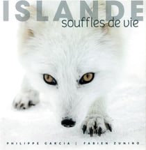 Islande - souffles de vie